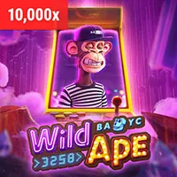 Chương trình hoàn trả cao cấp của pbv88 win